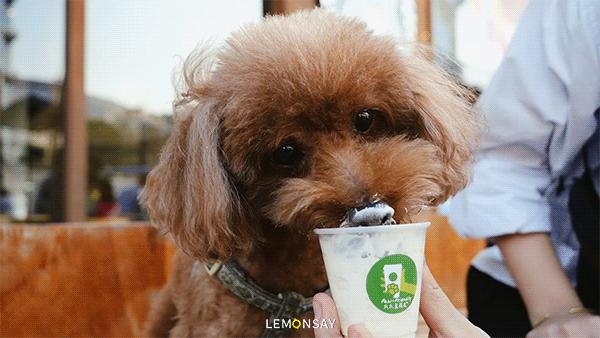 星巴克门店喝不到的隐藏款,星巴克饮品最新消息