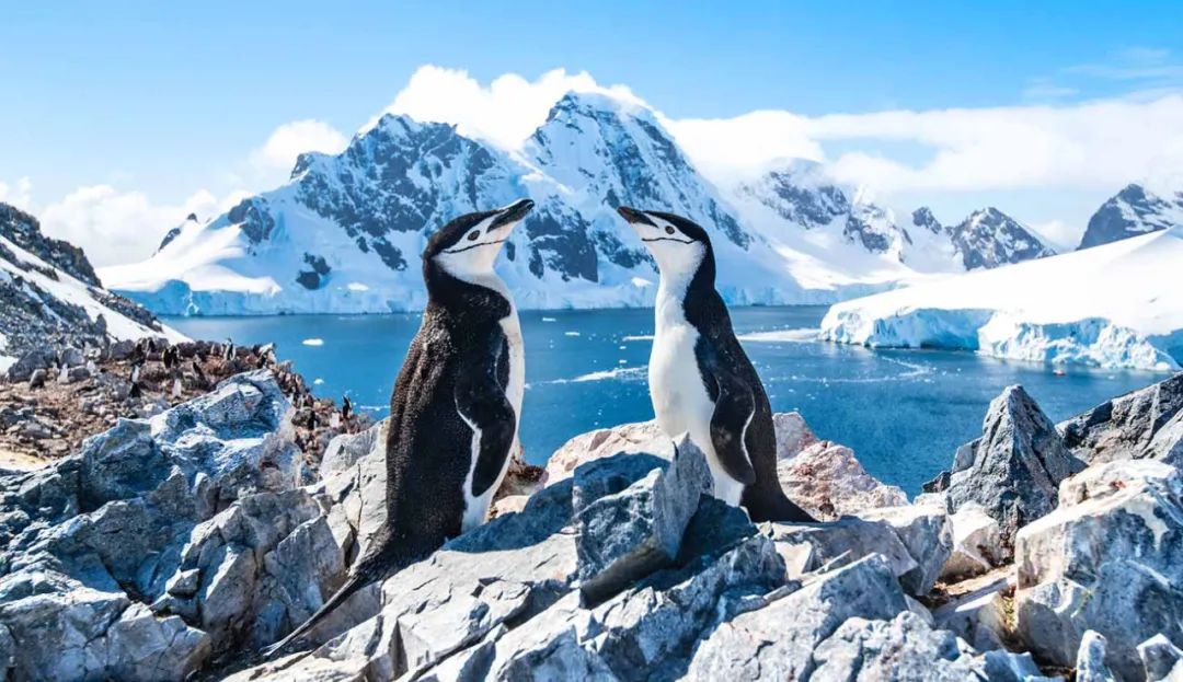 入境旅行险必须买吗,法国旅游入境保险条款