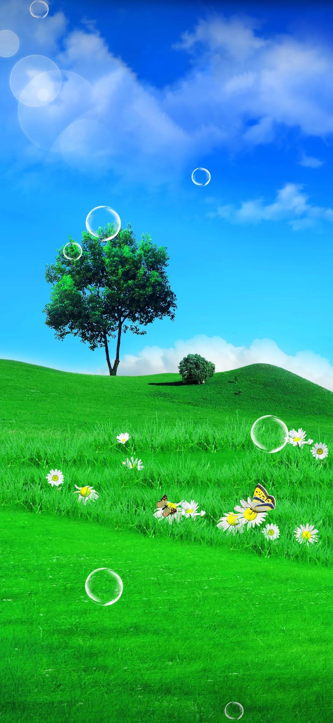 精美手机壁纸真是太美了,清晰到极致的手机壁纸图