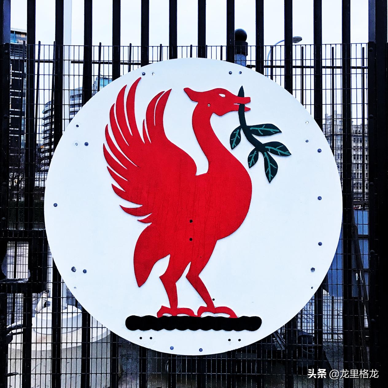 鑻辫秴鐜板満鐪嬬悆鎸囧崡,鑻辫秴鐞冭糠鐪嬬悆鎸囧崡