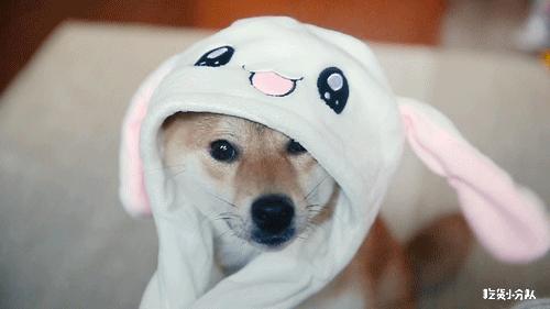 高考择校tips,高考择校指导985211