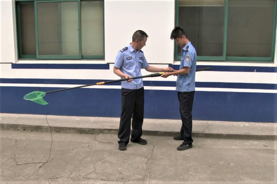 一根电捕鱼竿,牵出一个产销窝点