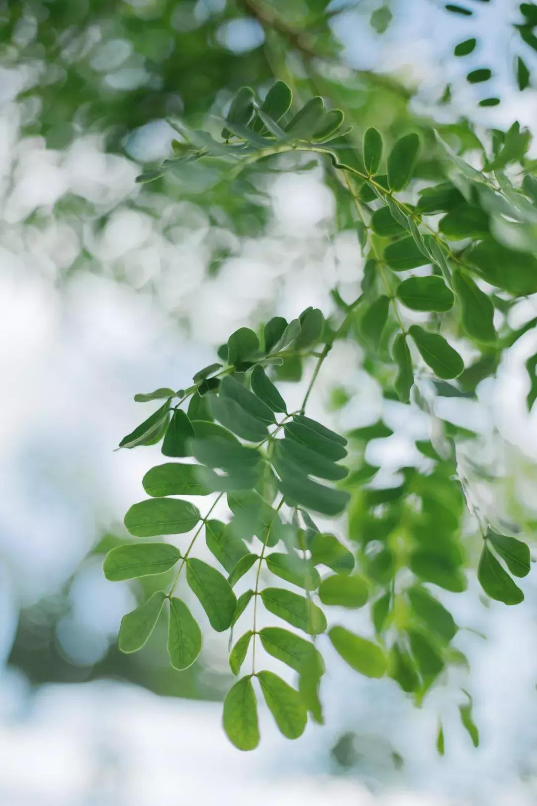 藏在海边的摩洛哥花园!夫妻俩不懂设计,却造出厦门最美网红民宿