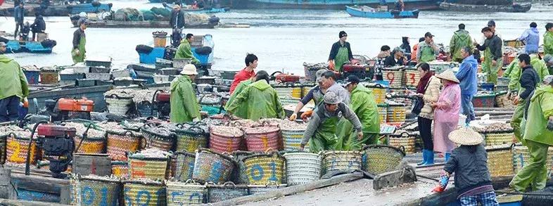 鱼丸里没鱼？虾丸里没虾？蟹丸里没蟹？