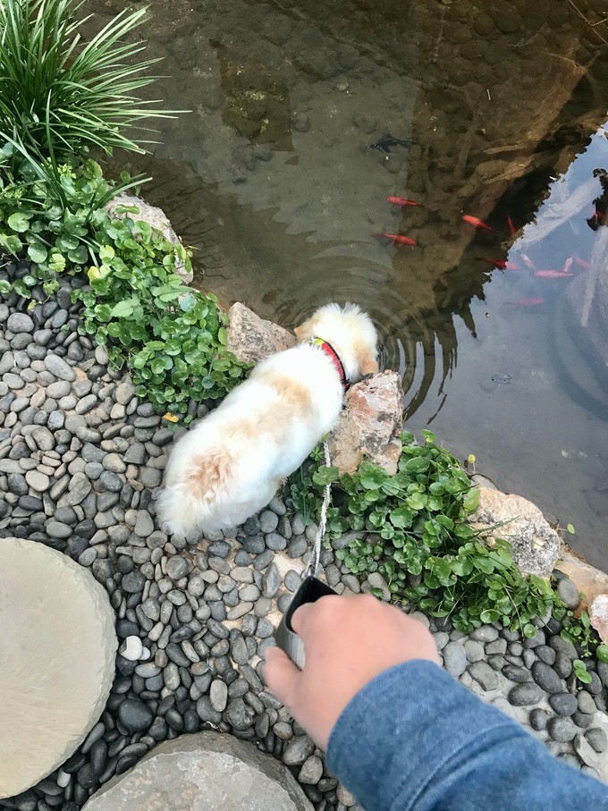 消失的地平线上的“香巴拉”和“女儿国”（二）