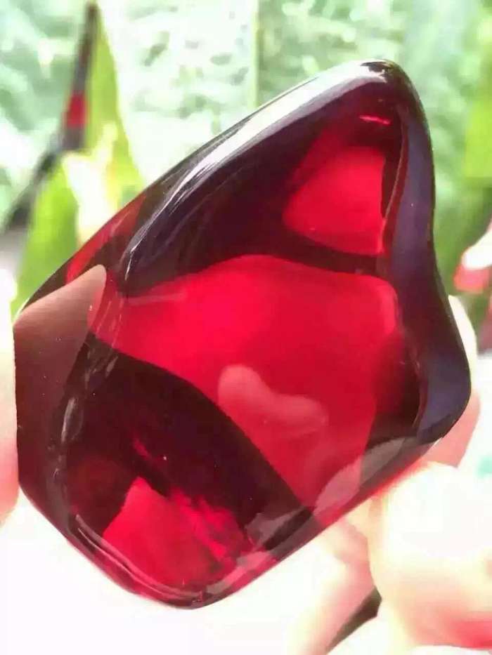 血珀的含义,血珀的形成过程