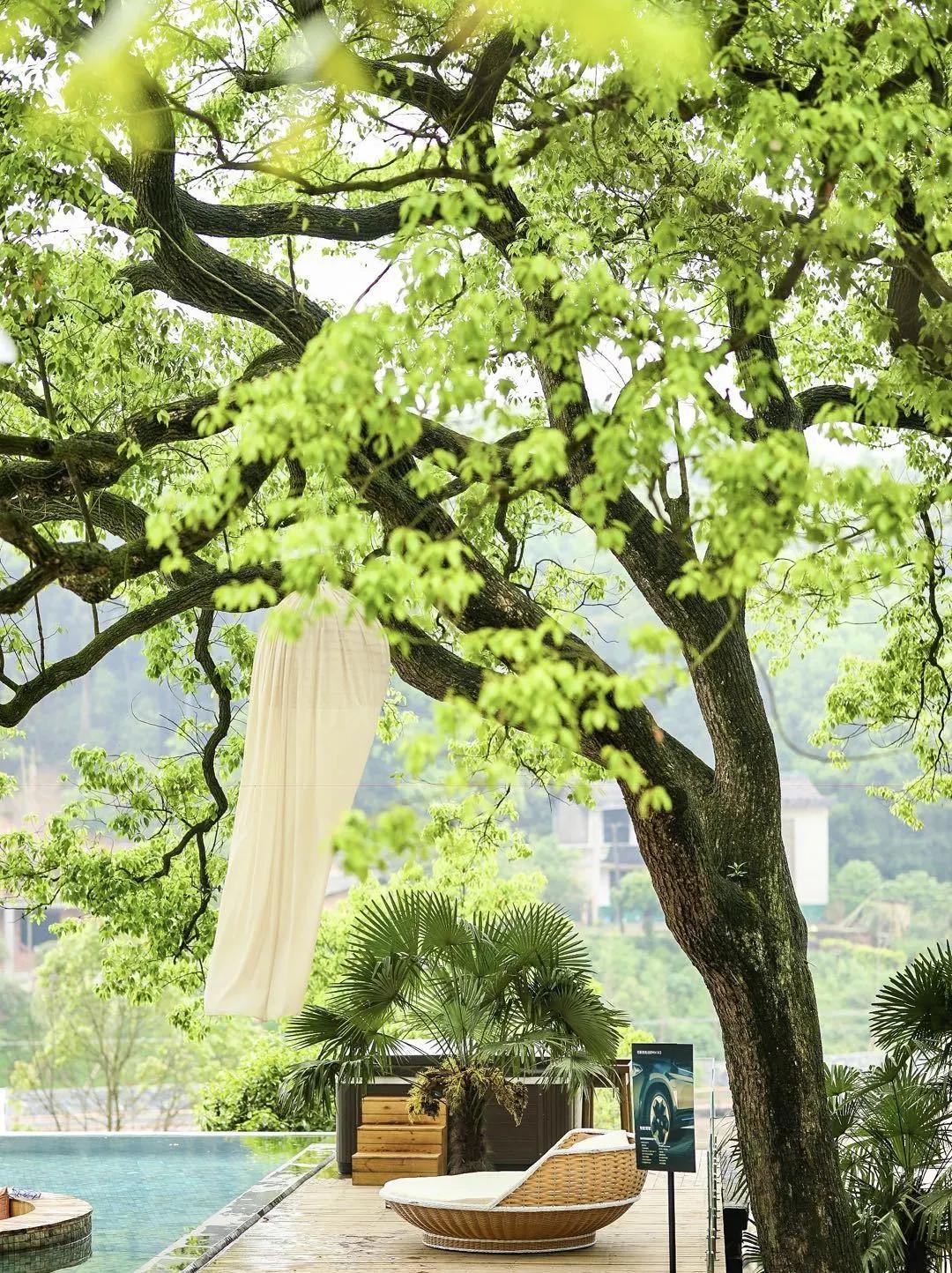 神仙眷侣辞掉高薪工作，爆改废弃山谷，造无边恒温泡池，全景树屋