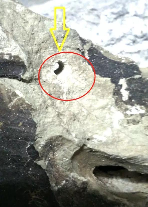 草缸造景教程：胶水造景太温柔，男人就该上电钻