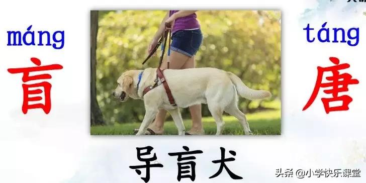 三年级语文上册课后练习题大全,三年级上册语文第十二课课后习题