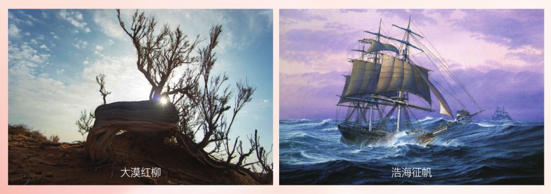 不负时光感恩同行《健康与美容》杂志创刊27周年特辑