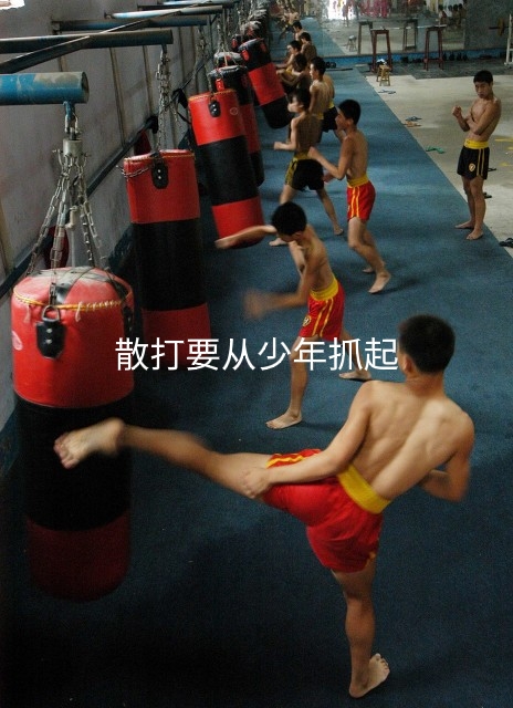 散打拳法太弱,泰拳踢拳散打谁最强