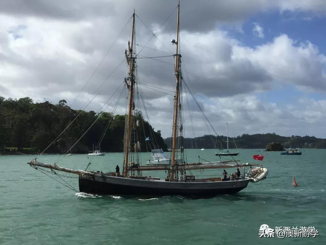 奥克兰旅游让生活更美,奥克兰旅游攻略海边穿搭