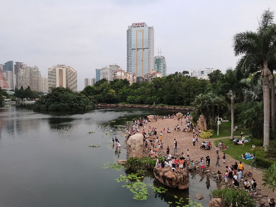 荔枝公园深圳,深圳第一公园荔枝公园