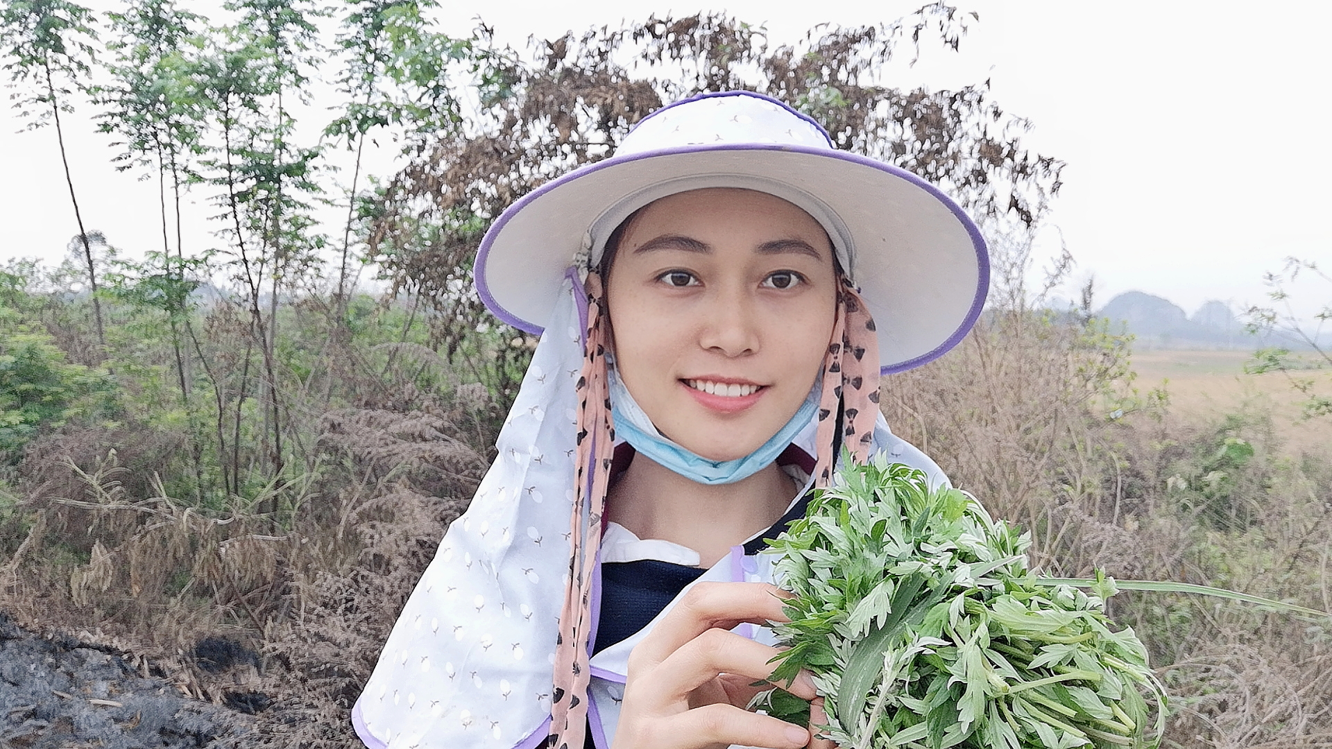 艾草的作用和功能主治,艾草的作用与功效艾叶的用法