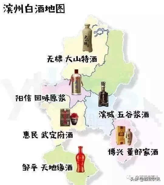 山东十大名酒山东白酒排名最新,山东公认的好酒