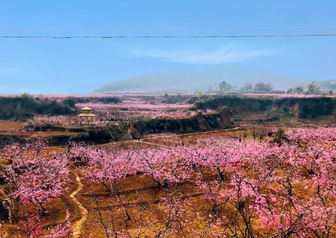 山东百强县2021年排名,山东2021百强县排名榜