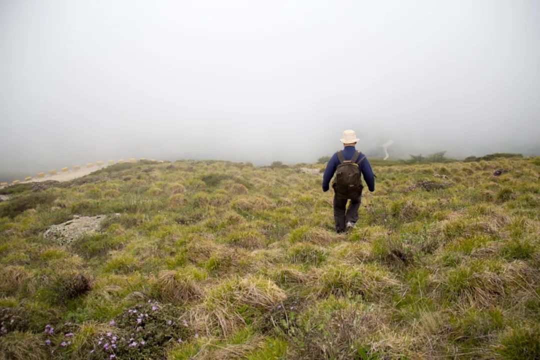 秦岭光头山至鹿角梁穿越路线,秦岭西观音山徒步登山路线攻略
