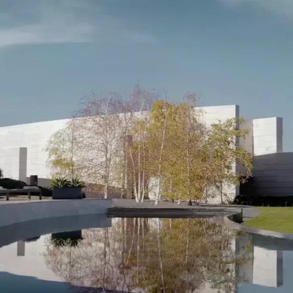 老佛爷的猫继承多少遗产,老佛爷去世了猫继承了多少遗产