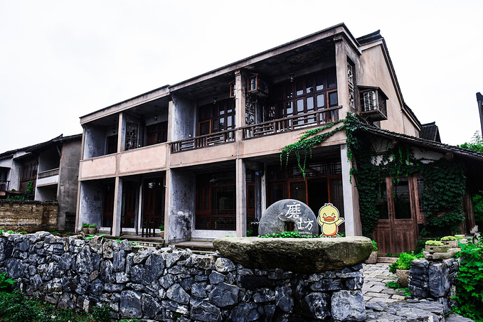 乌村暑期夏令营，吃喝玩乐在这里