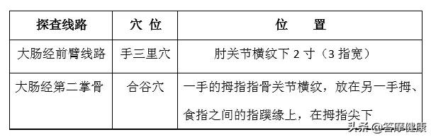 大肠疾病与肺的关系,大肠与肺互为表里是什么意思