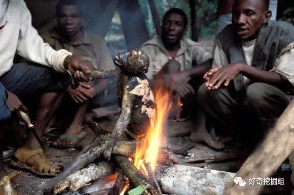 蝙蝠的病毒有多可怕,蝙蝠携带大量病毒为何安然无恙