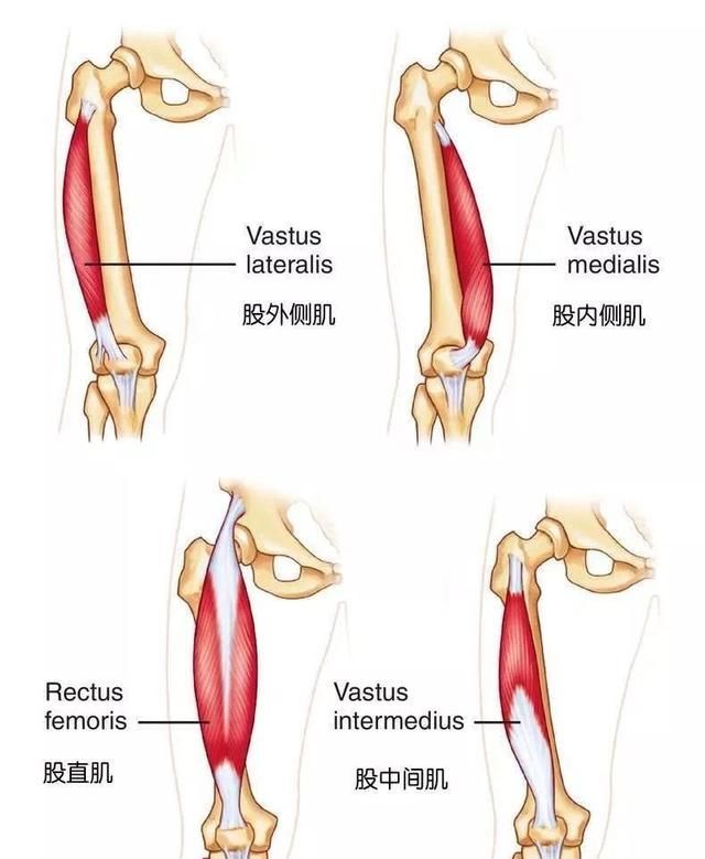 膝关节咔咔响隐隐作痛,下蹲时膝关节有小咔咔声
