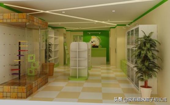 购买一只宠物猫购买前的选择过程,购买猫咪一般在网上哪里卖