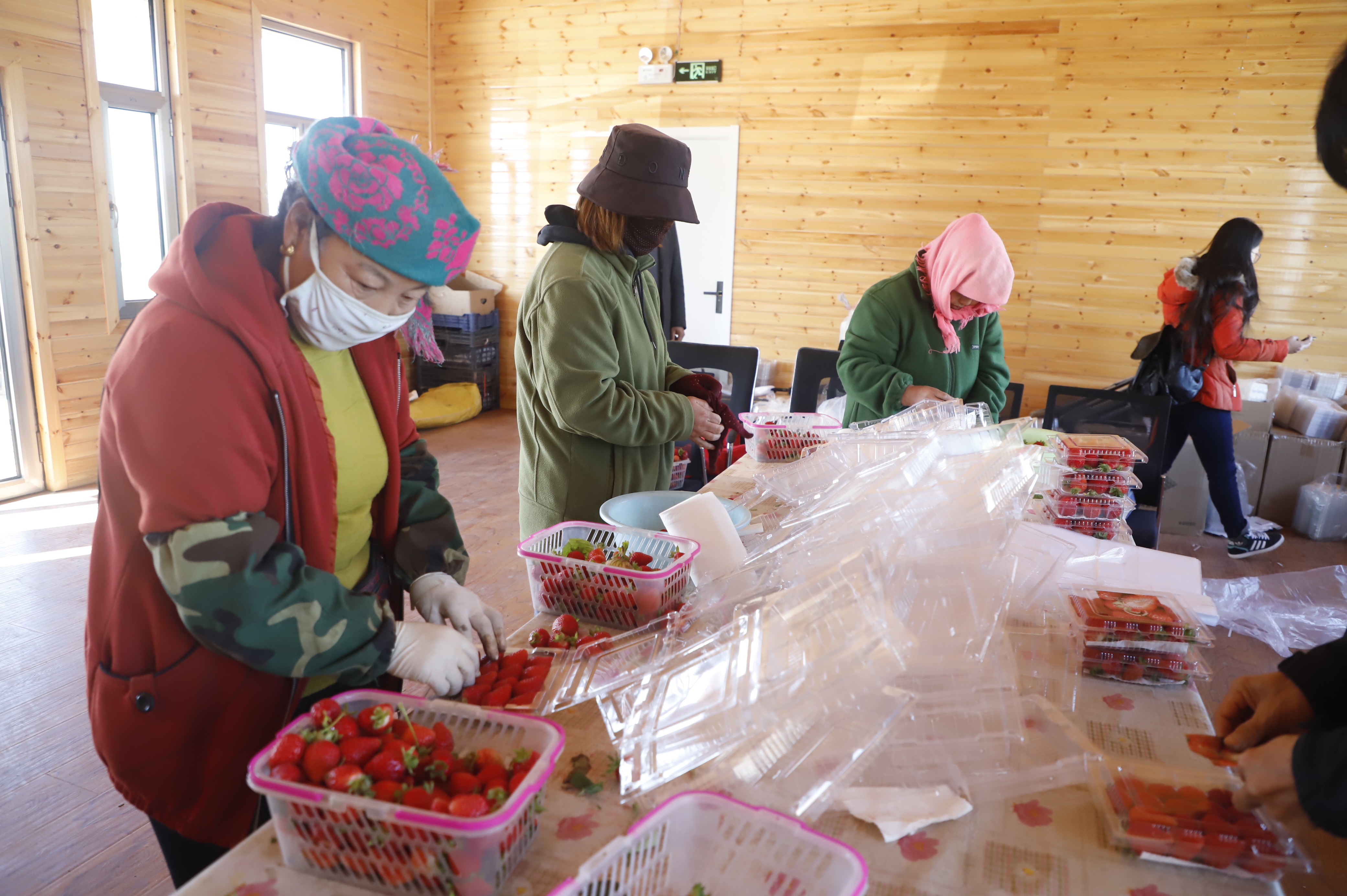 村级脱贫人口增收案例,村集体增收致富情况