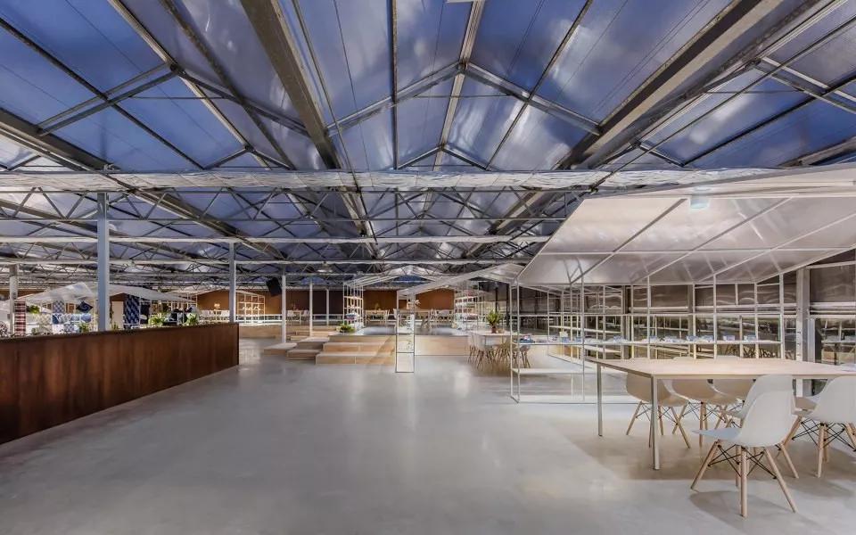 乡村振兴特色文化案例分享,关于乡村振兴比较有创意的点子