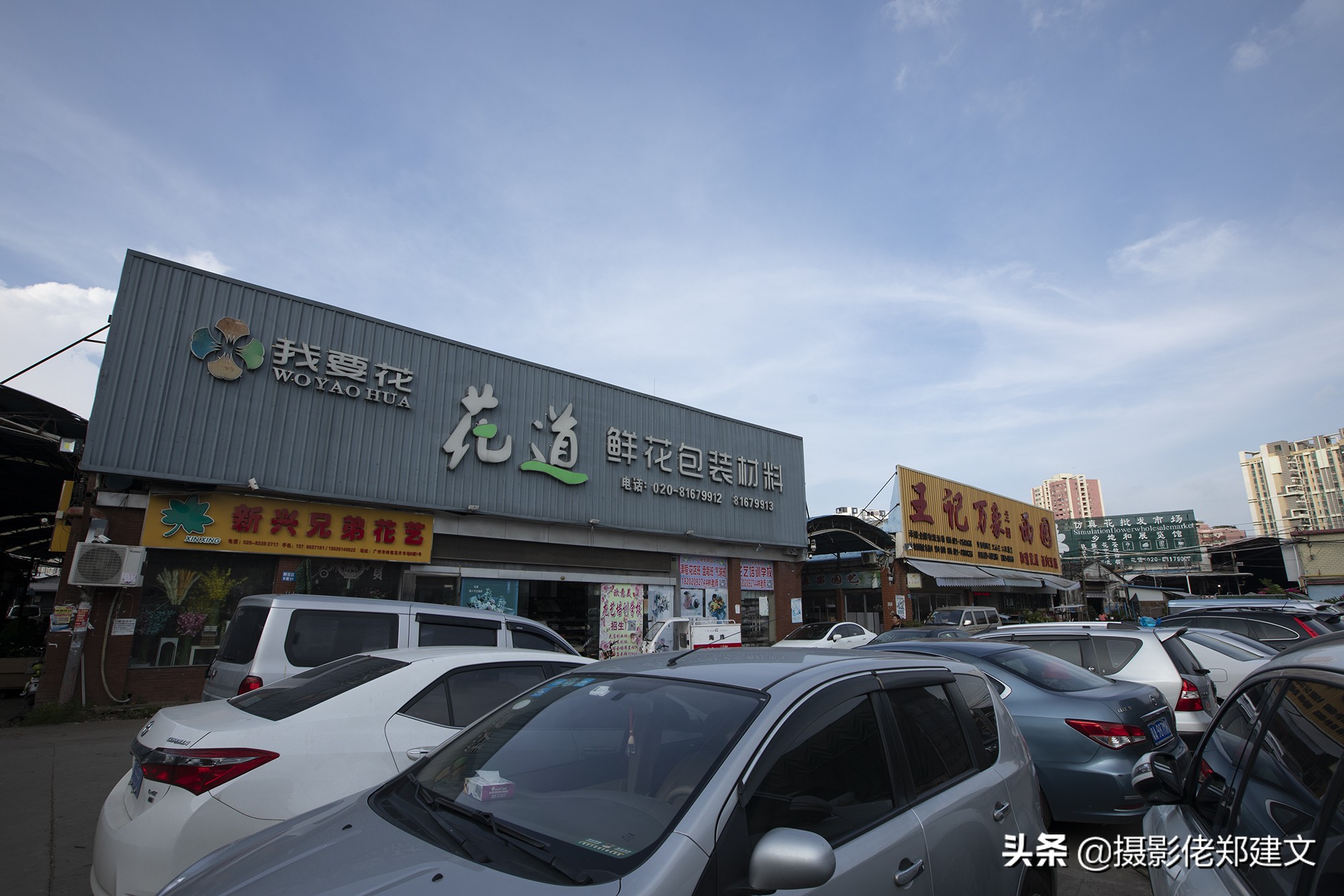 中国最大鲜花交易市场在哪座城市,南方最大的批发鲜花市场