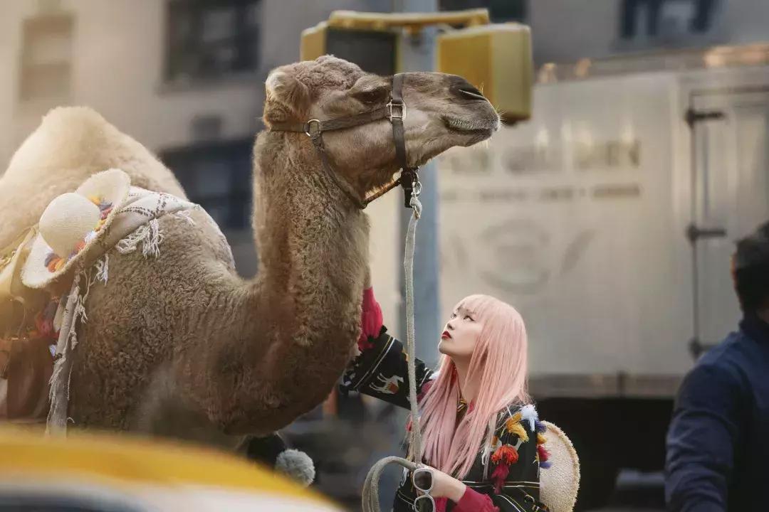 摩洛哥风格拍照大片,摩洛哥拍照写真