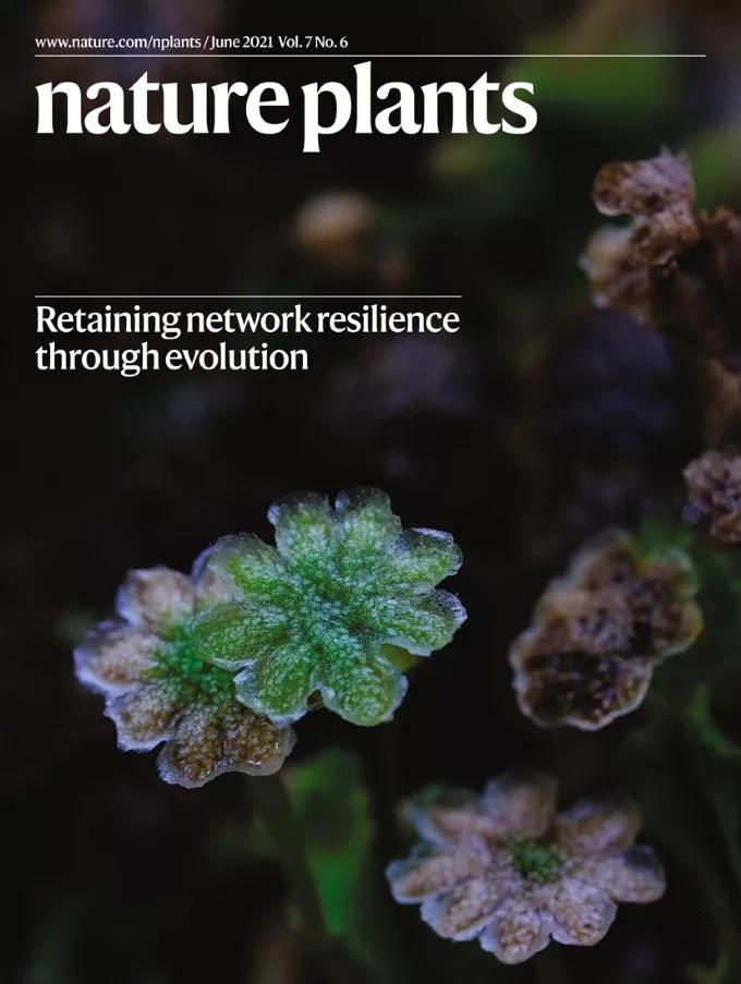 自然期刊封面,最新自然期刊