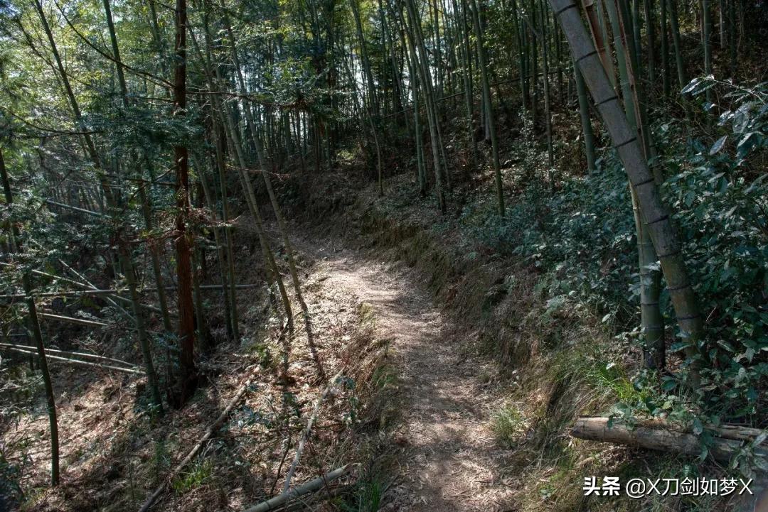 沪外游集：“华东香格里拉”-公盂村春季徒步