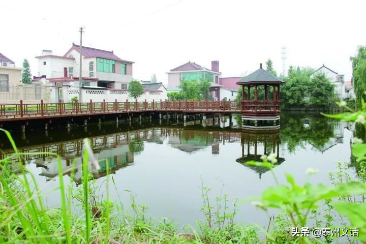 江苏泰州白米镇景点排行,姜堰市各乡镇排名