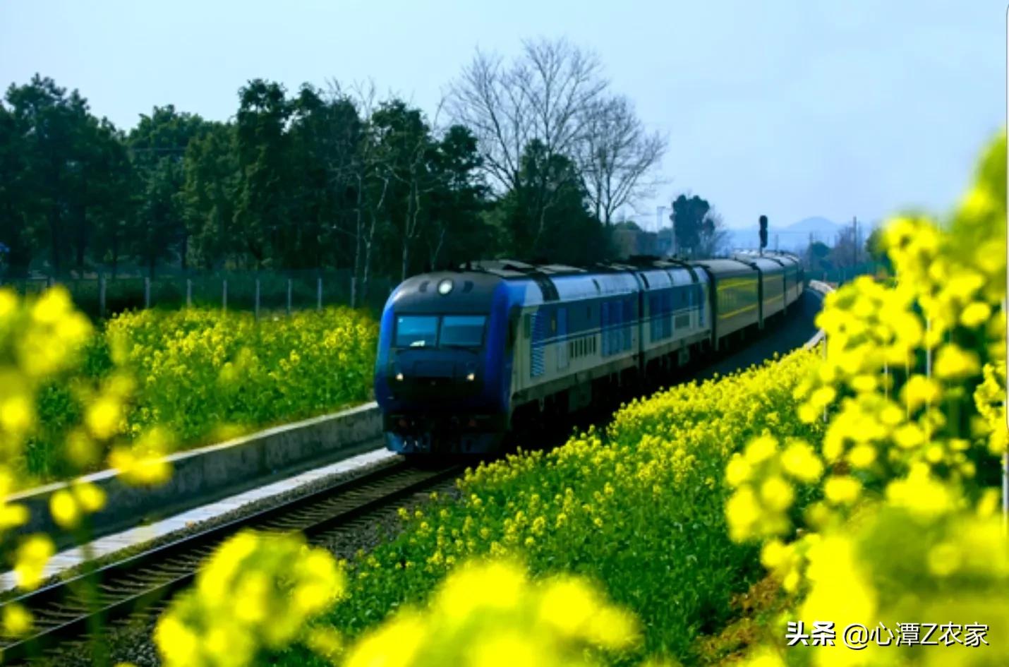 三分巢湖后，脱胎换骨的庐江