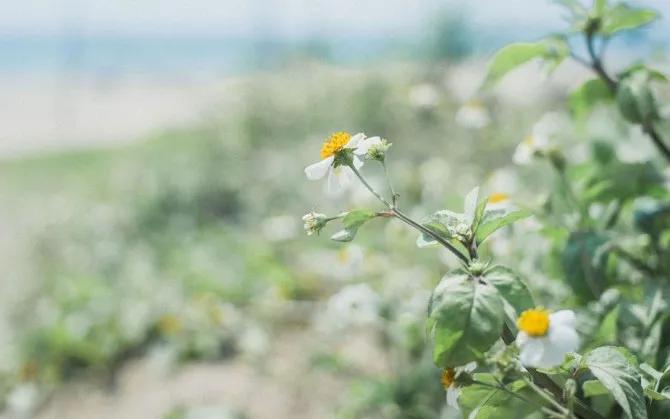 情绪稳定是成年人顶级的修养,情绪稳定的魅力
