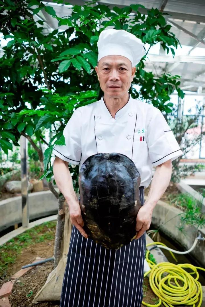 正宗龟苓膏老字号原味,真正的龟苓膏是苦的