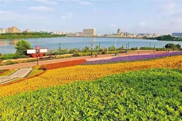 深圳免费公园哪里最好啊,深圳十大免费公园景点大全