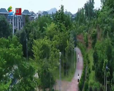 惠州杨侨镇是哪个区,惠州潼侨镇简介