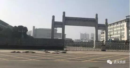 逆市大涨的股票有哪些,逆市上涨板块