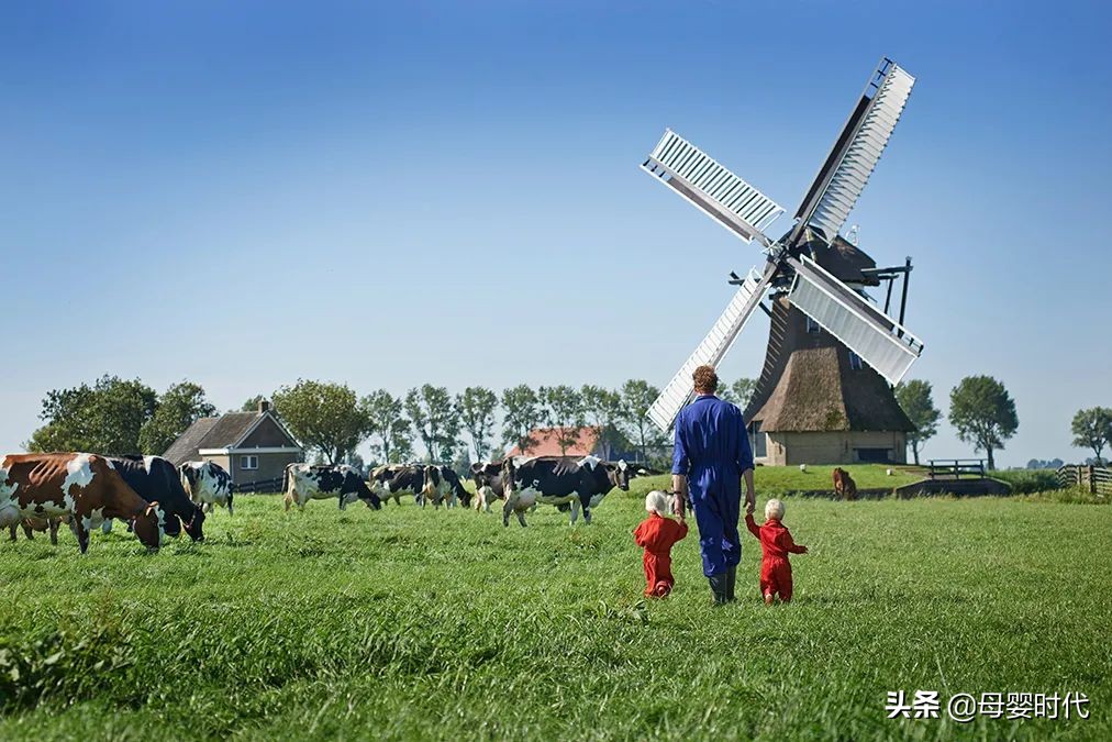 菲仕兰业绩大全,菲仕兰2020年财报