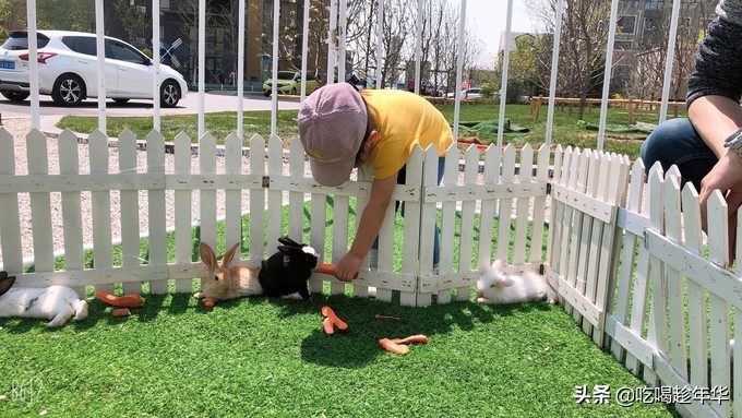 鲅鱼圈出发北京一日游跟团,鲅鱼圈最强攻略看完就出发