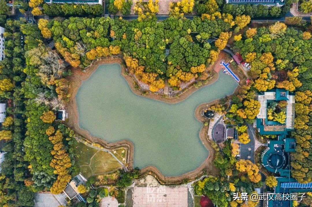 爸妈我想回家视频,爸妈我想回家了原视频