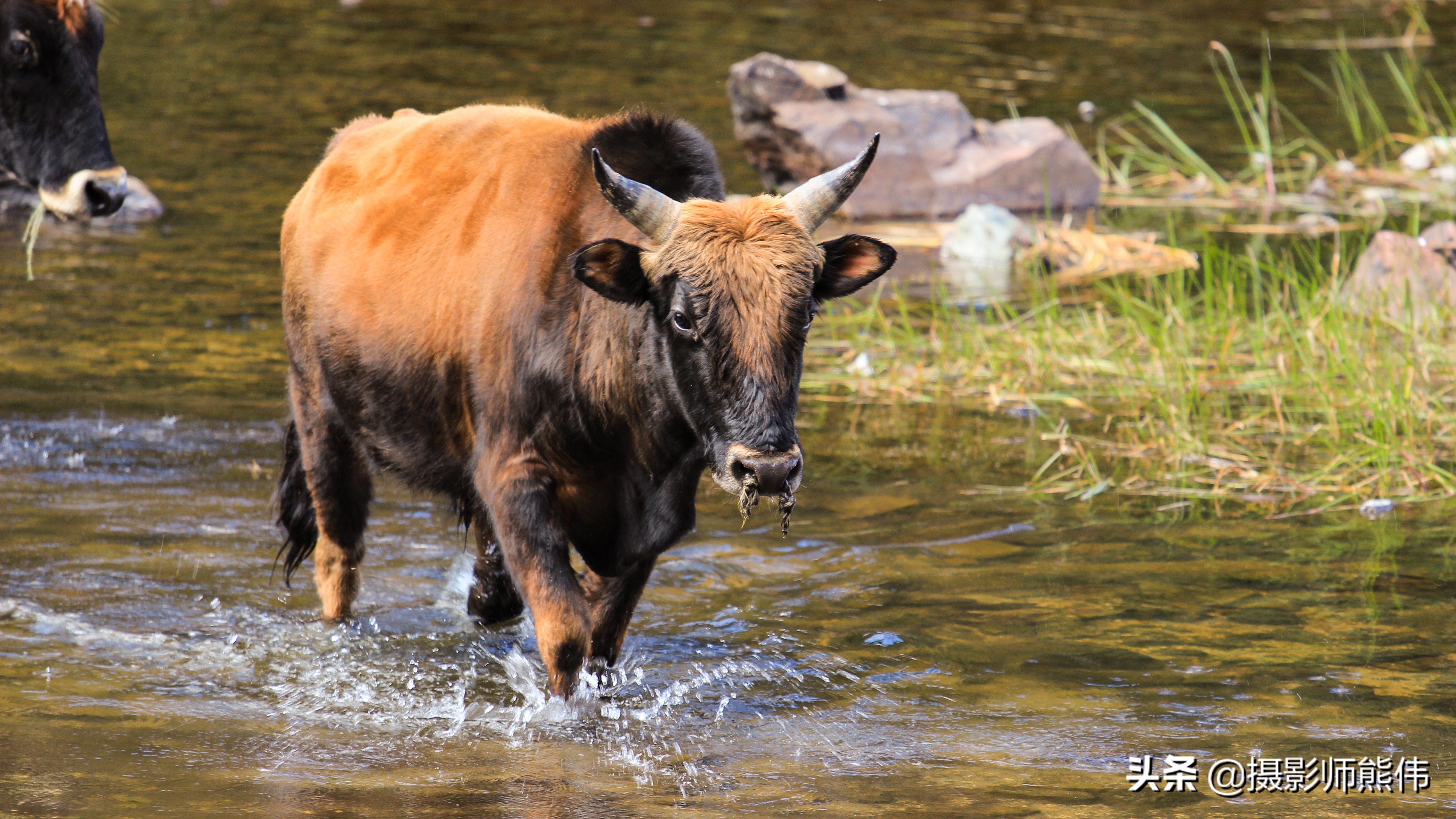 美丽静谧的香格里拉,香格里拉极境之美