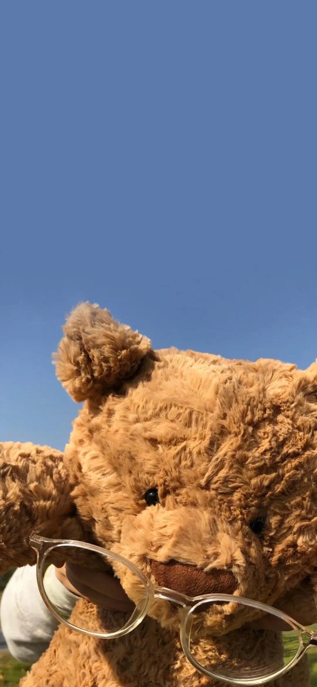 巴塞罗那熊4k壁纸,巴塞罗那熊高清手机壁纸