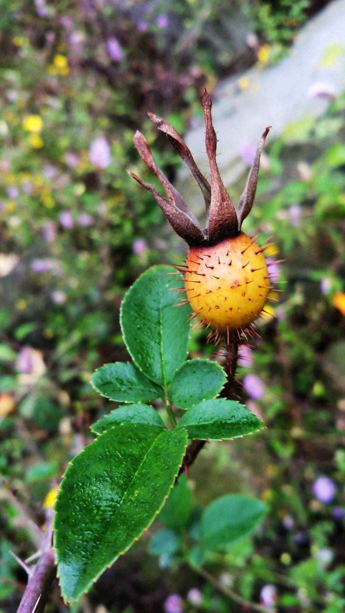 男人的虚荣心是什么,男人的虚荣心太强怎么办