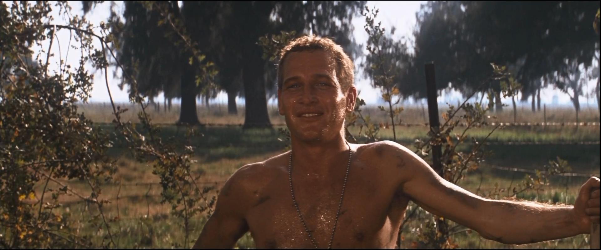 高分经典历届奥斯卡最佳电影,越狱2奥斯卡