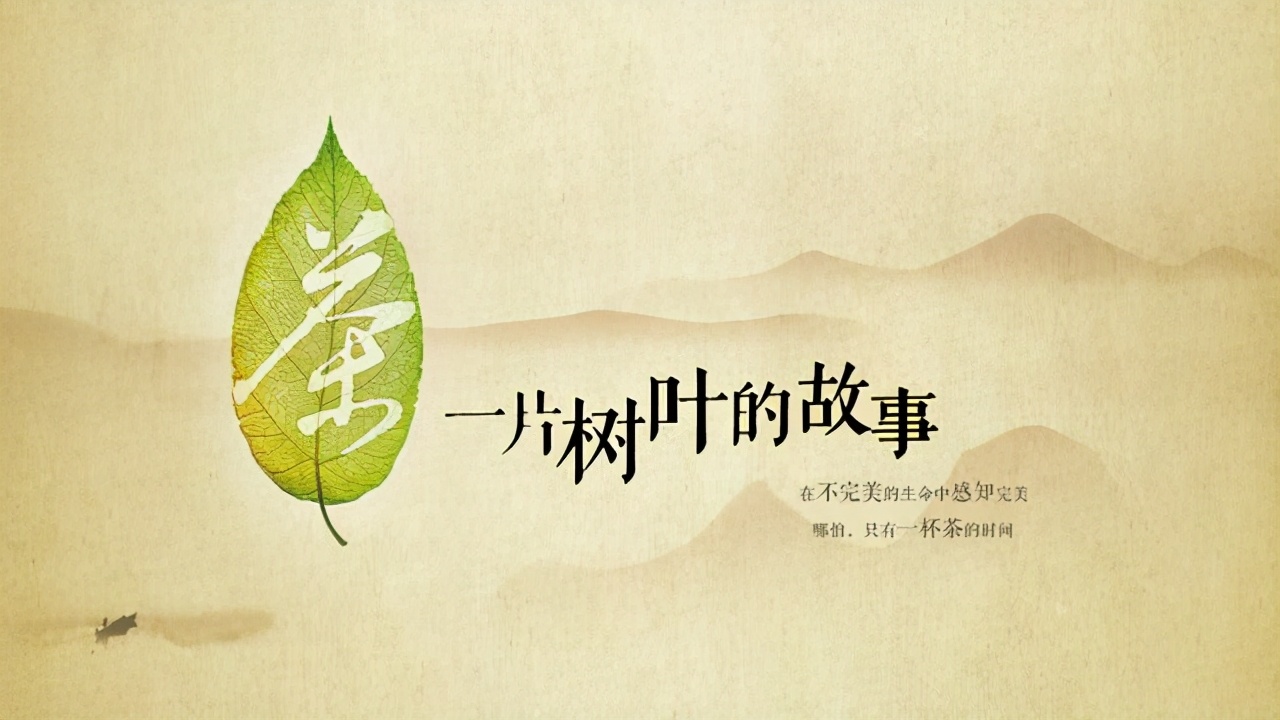 关于茶文化的经典影视剧,与茶相关电视剧