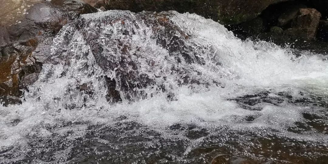 贺州姑婆山景区国家森林公园,贺州姑婆山森林公园路线