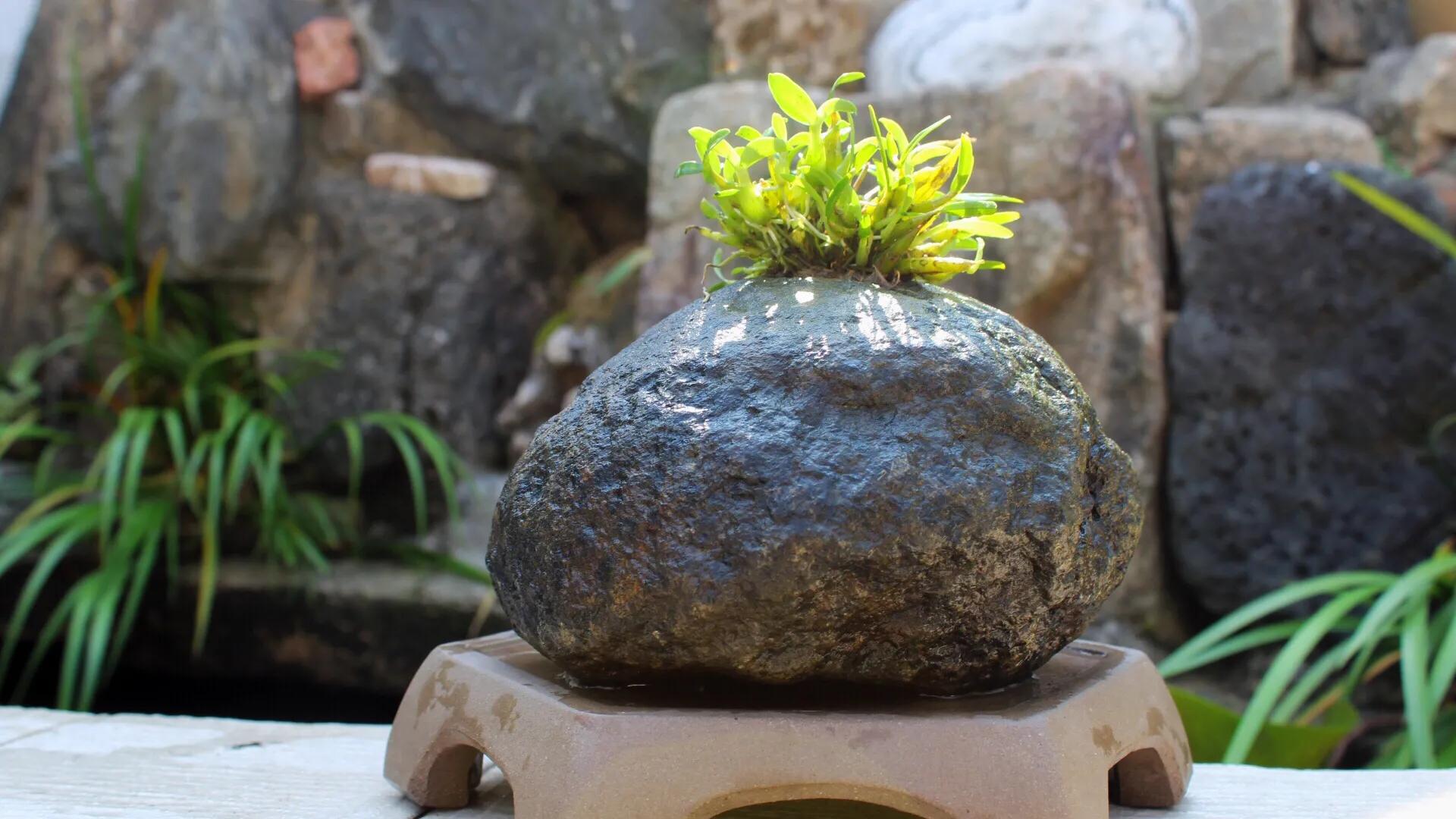 农村创业周边设备,农村创业周记17字